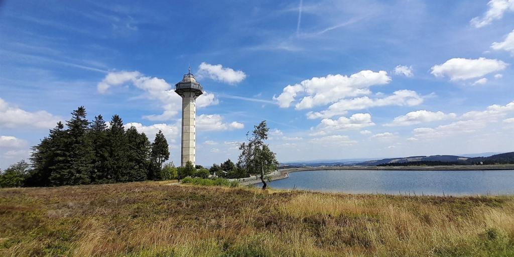 Die Hochheide auf dem Willinger Hausberg