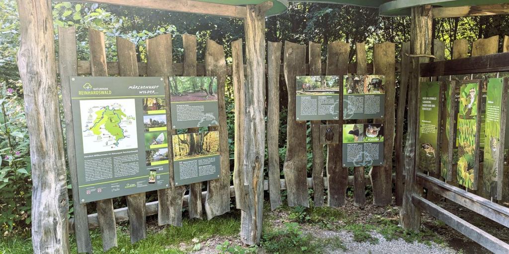 Natur und Mystik im Naturpark Reinhardswald